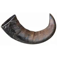 Trixie Buffalo Chewing Horn Big