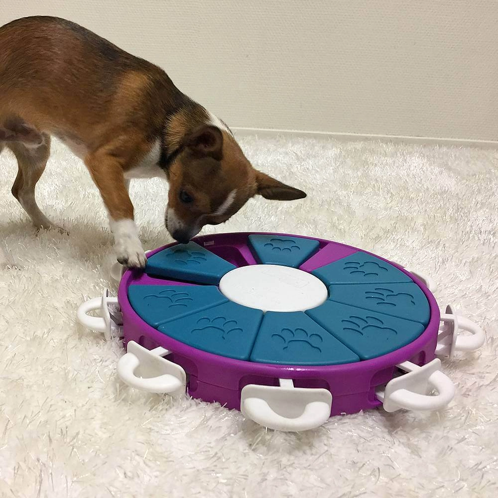 Nina Ottosson Dog Twister  - фото 3