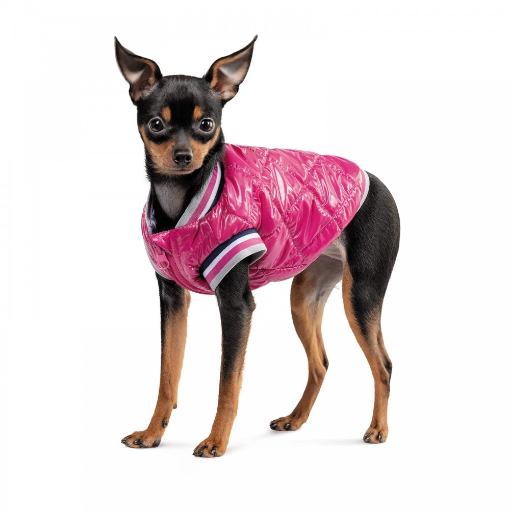 Pet Fashion Grace 