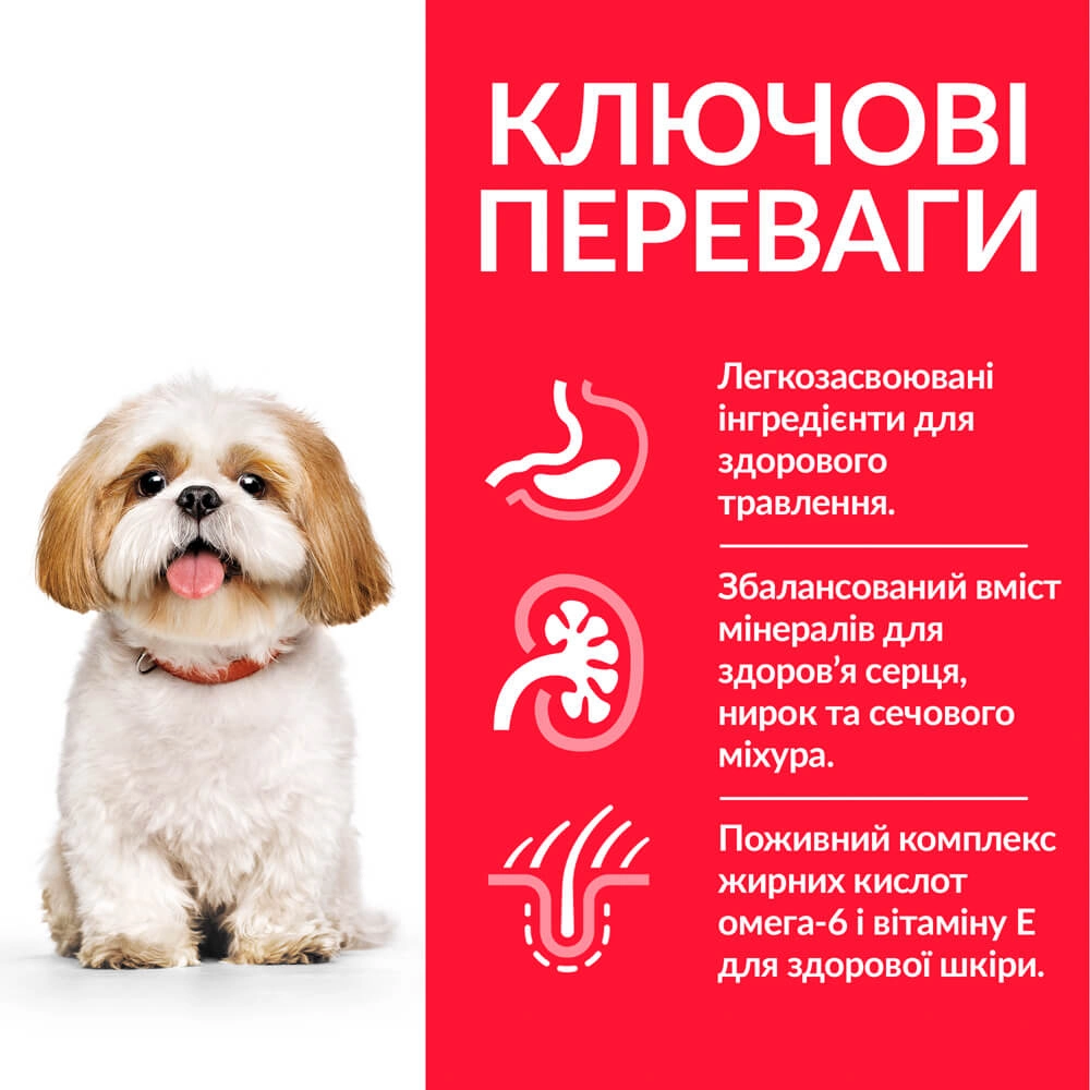 Hills Science Plan Small & Mini Mature Adult 7+ Dog Chicken  - фото 2