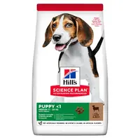 Hills Science Plan Medium Puppy Lamb & Rice 