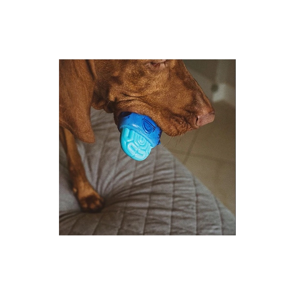 Zee.Dog Brain Freeze  - фото 5