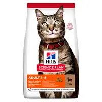 Hills Science Plan Adult Cat Lamb 