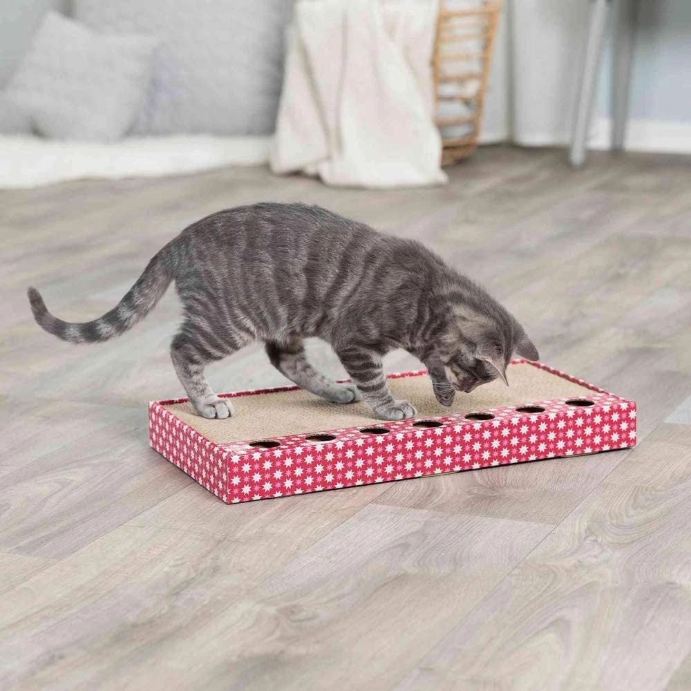 Trixie Scratching Cardboard  - фото 2