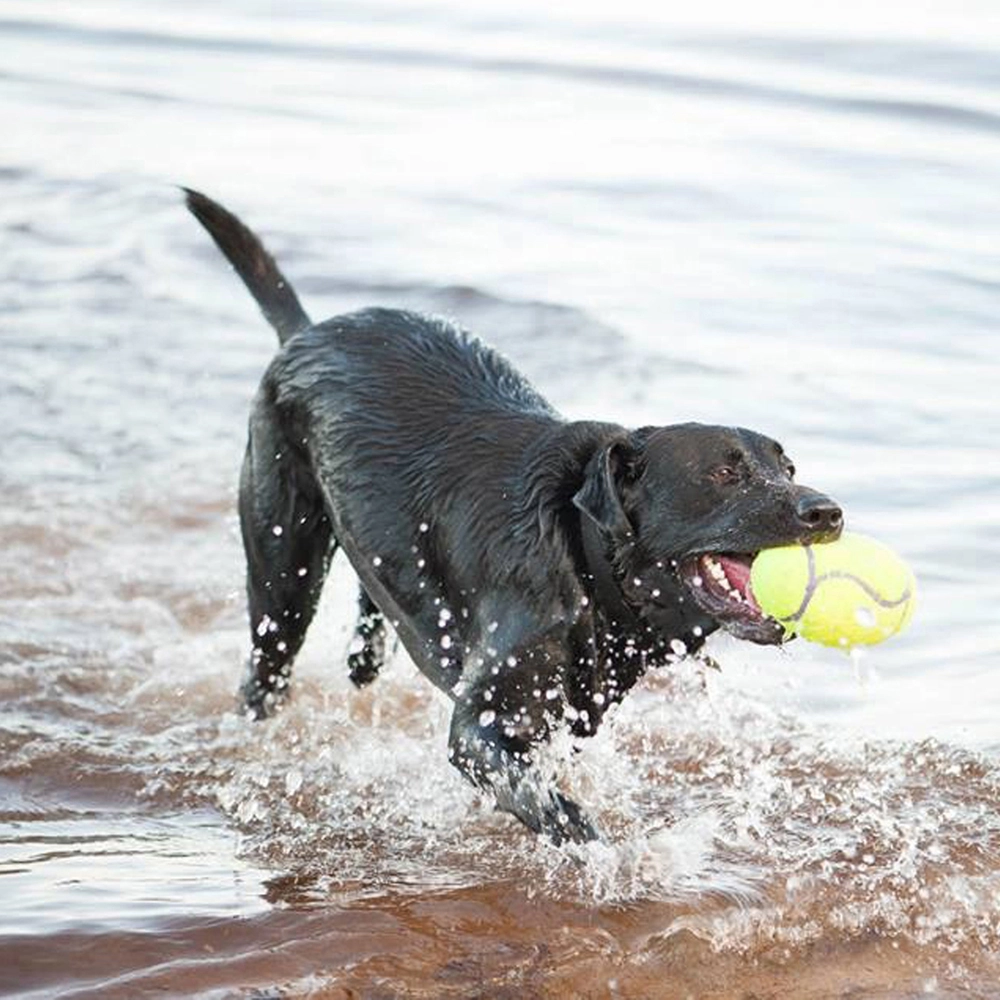 Kong AirDog Squeaker Football  - фото 3