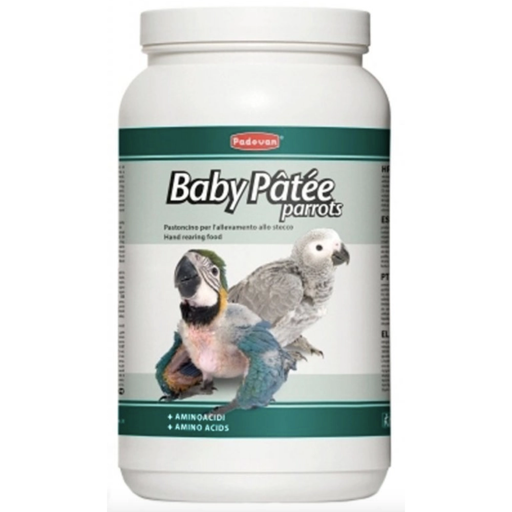 Padovan Baby Patee parrots  