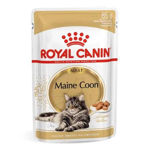 Royal Canin Maine Coon Adult Gravy