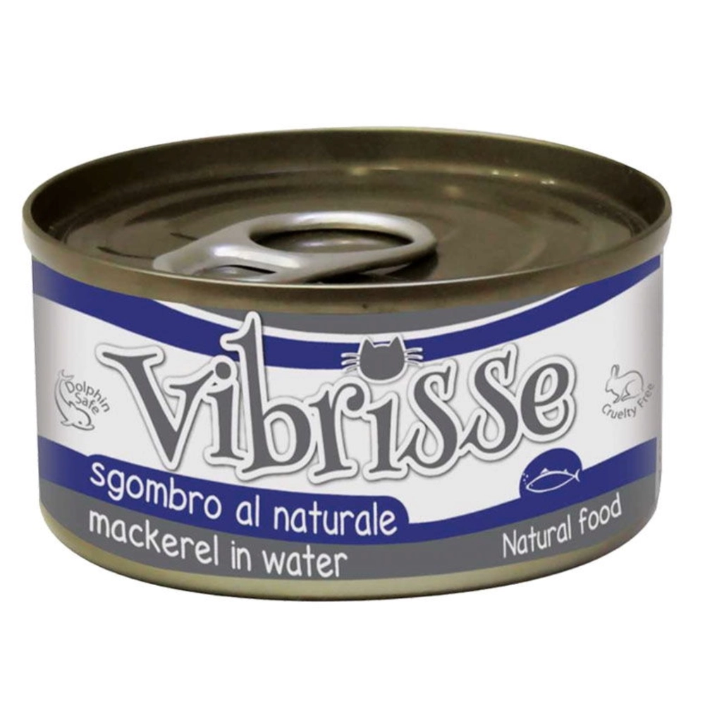 Vibrisse Mackerel 