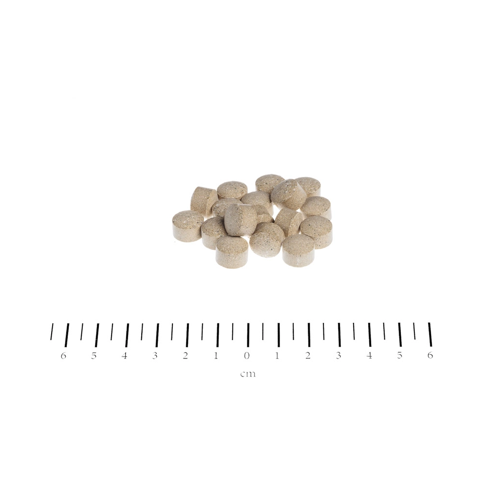 Canina Petvital GAG Tabletten  - фото 2