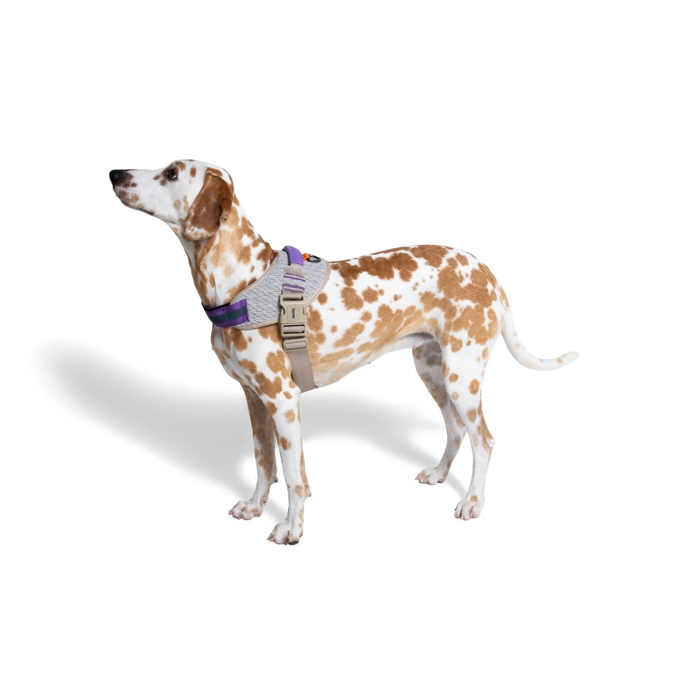 Zee.Dog ACG FlyHarness  - фото 5