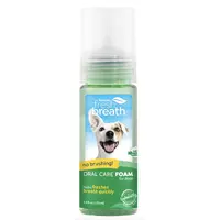 Tropiclean Fresh Breath Oral Care Foam