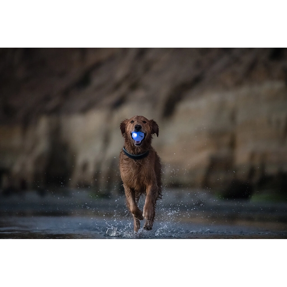 Planet Dog Strobe Ball  - фото 4