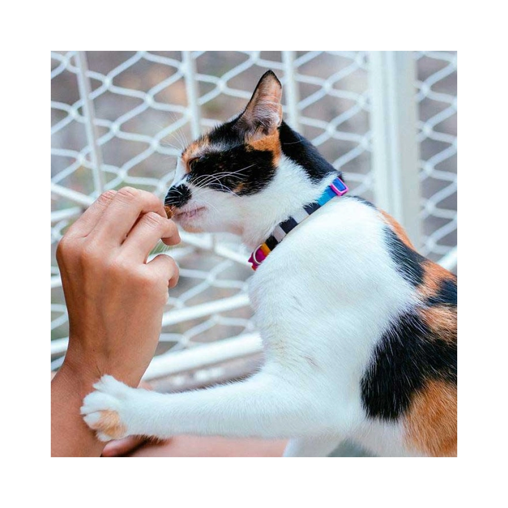 Zee.Dog Prisma Cat Collar  - фото 2