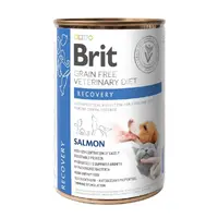 Brit Grain-Free Veterinary Diet Recovery Salmon