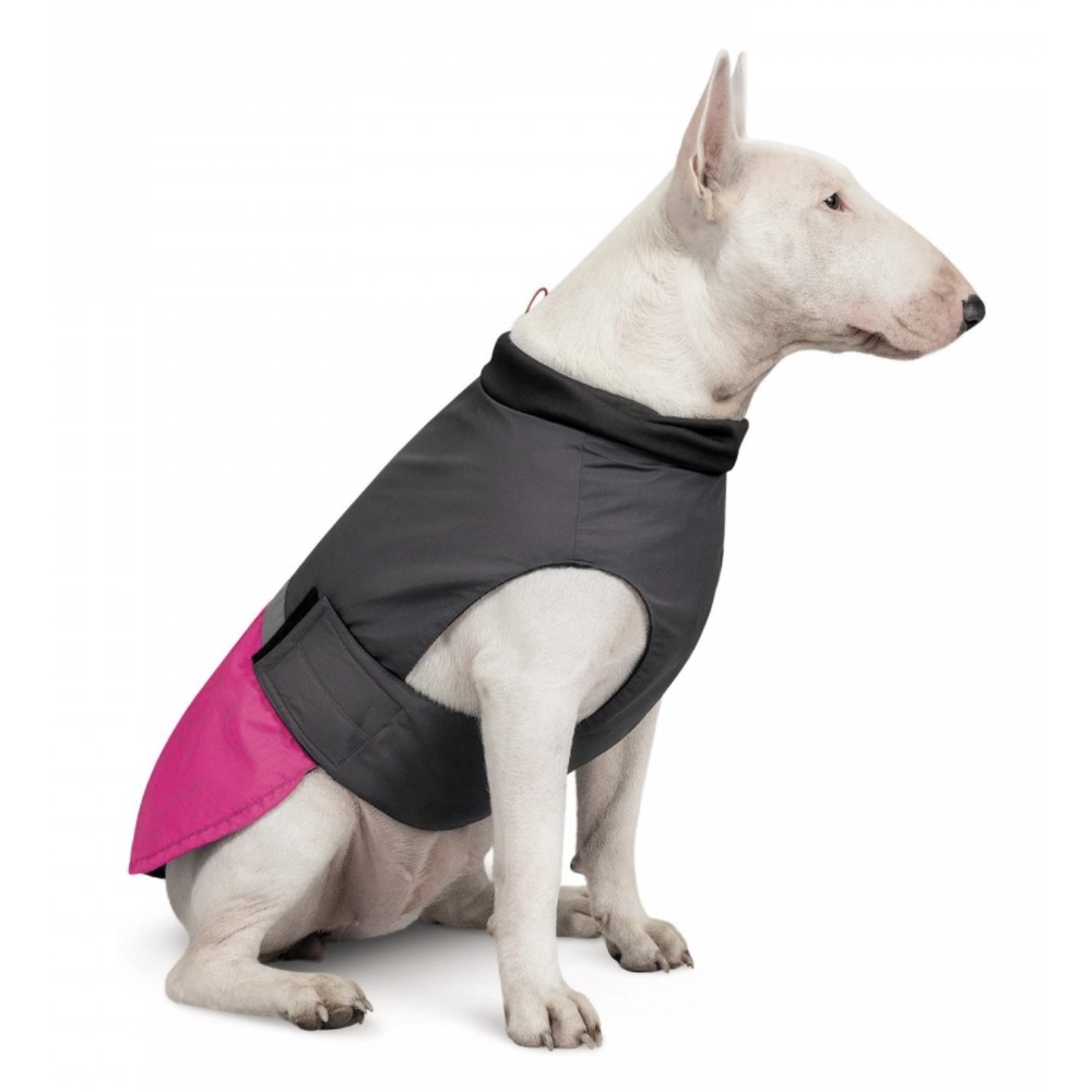 Pet Fashion ROY 