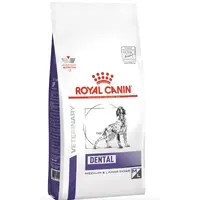 Royal Canin Dental Medium & Large Dog