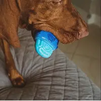 Zee.Dog Brain Freeze  - фото 5