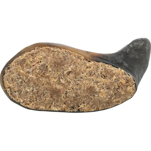 Trixie Buffalo Horn Pizzle Tendon