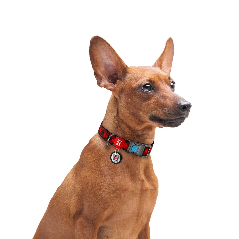 WAUDOG Nylon Collar з QR-паспортом  - фото 3