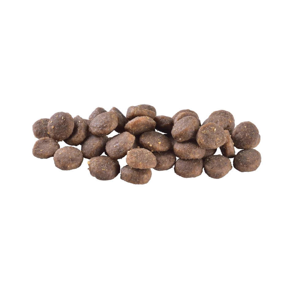 Brit Care Dog Grain-Free Puppy Salmon  - фото 2