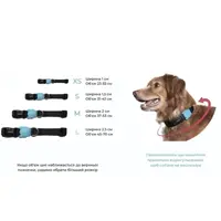 Zee.Dog Neon Coral Collar  - фото 2