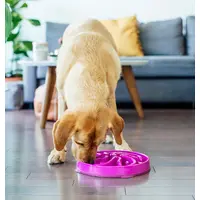 Outward Hound Fun Feeder Slo Bowl  - фото 6