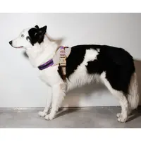 Zee.Dog ACG FlyHarness  - фото 6
