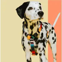 Zee.Dog Prisma H-Harness  - фото 4
