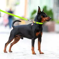 WAUDOG Innovative Waterproof Leash  - фото 8