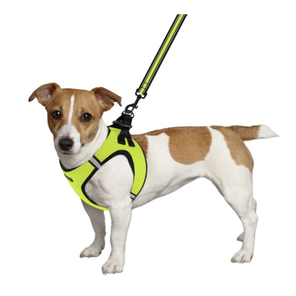 Bronzedog Mesh Шлея Vest для собак Лимонна 