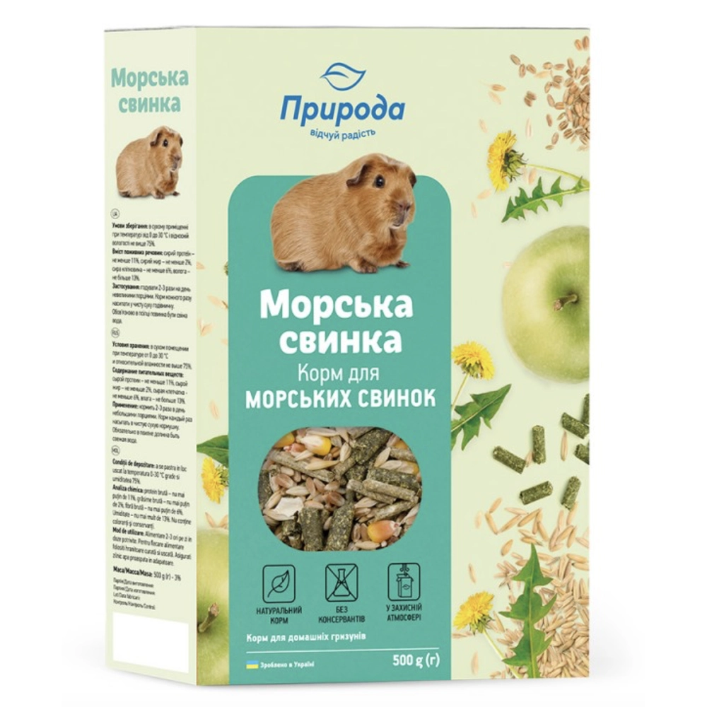 Природа Морська свинка 