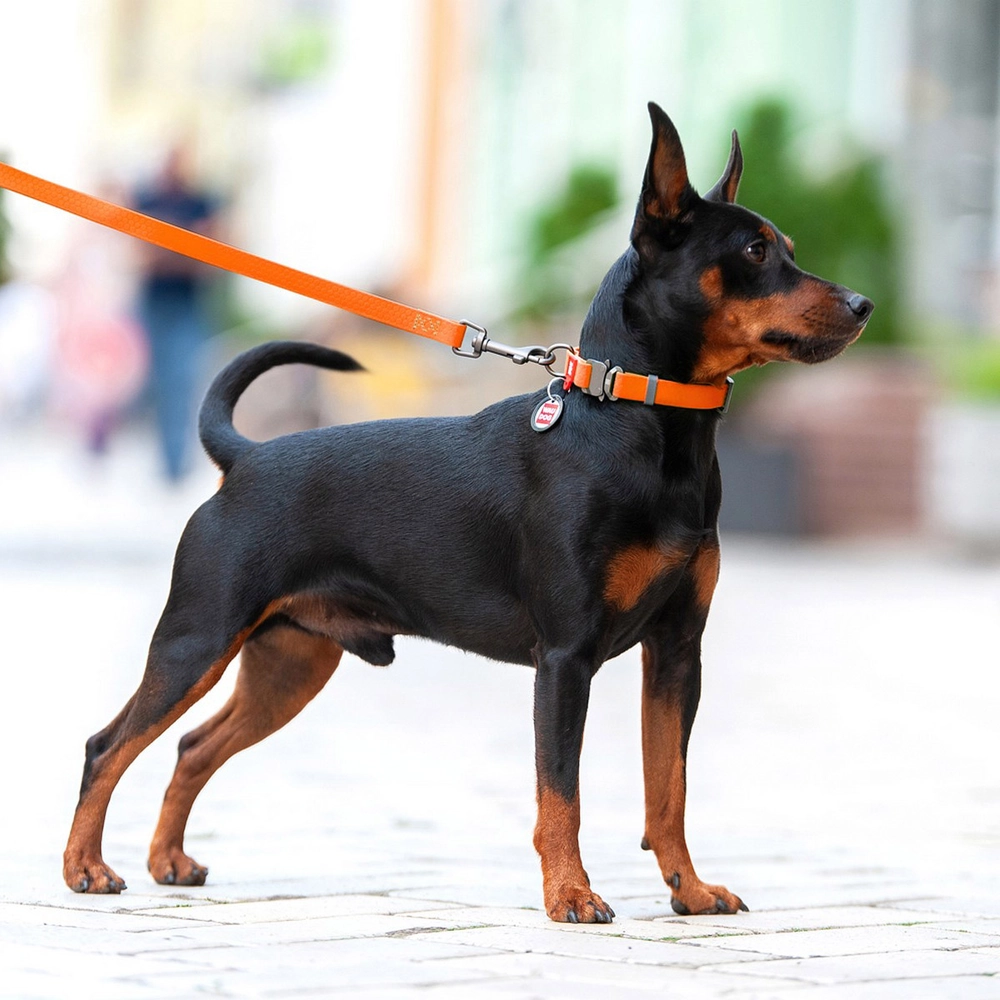 WAUDOG Innovative Waterproof Leash  - фото 3