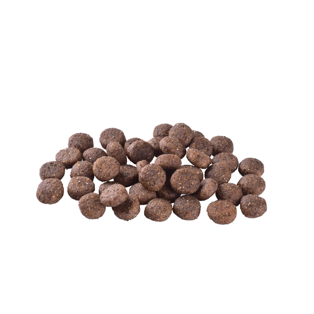 Brit Care Dog Grain-Free Adult Salmon  - фото 2