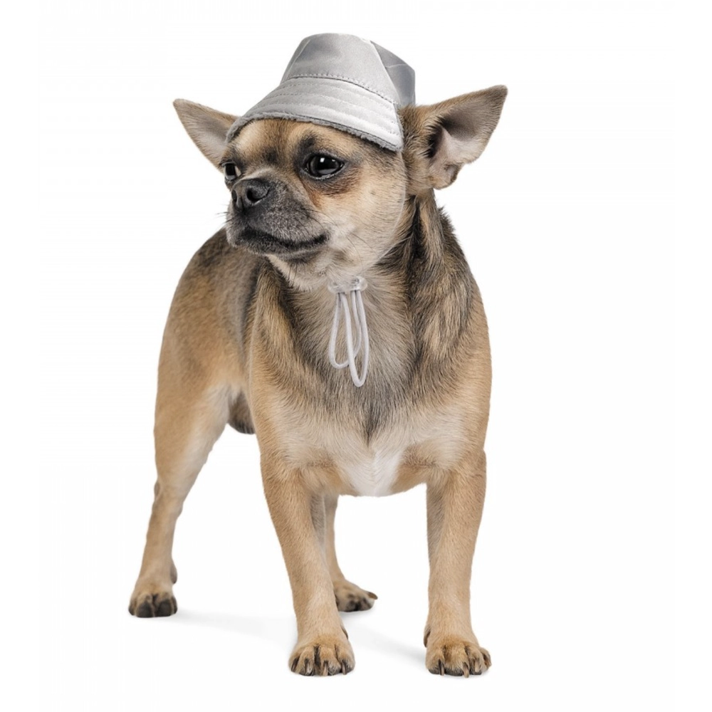 Pet Fashion PARTY  