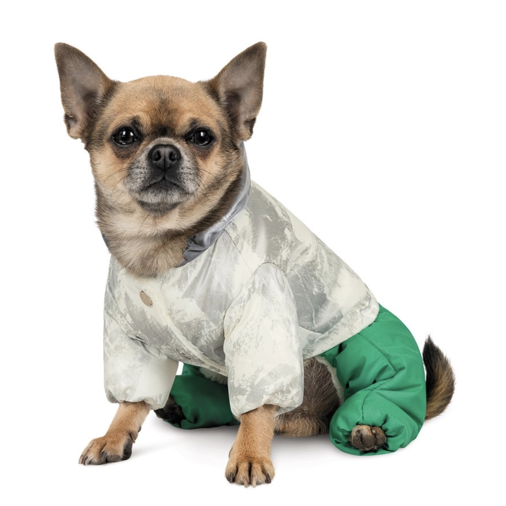 Pet Fashion MAN  
