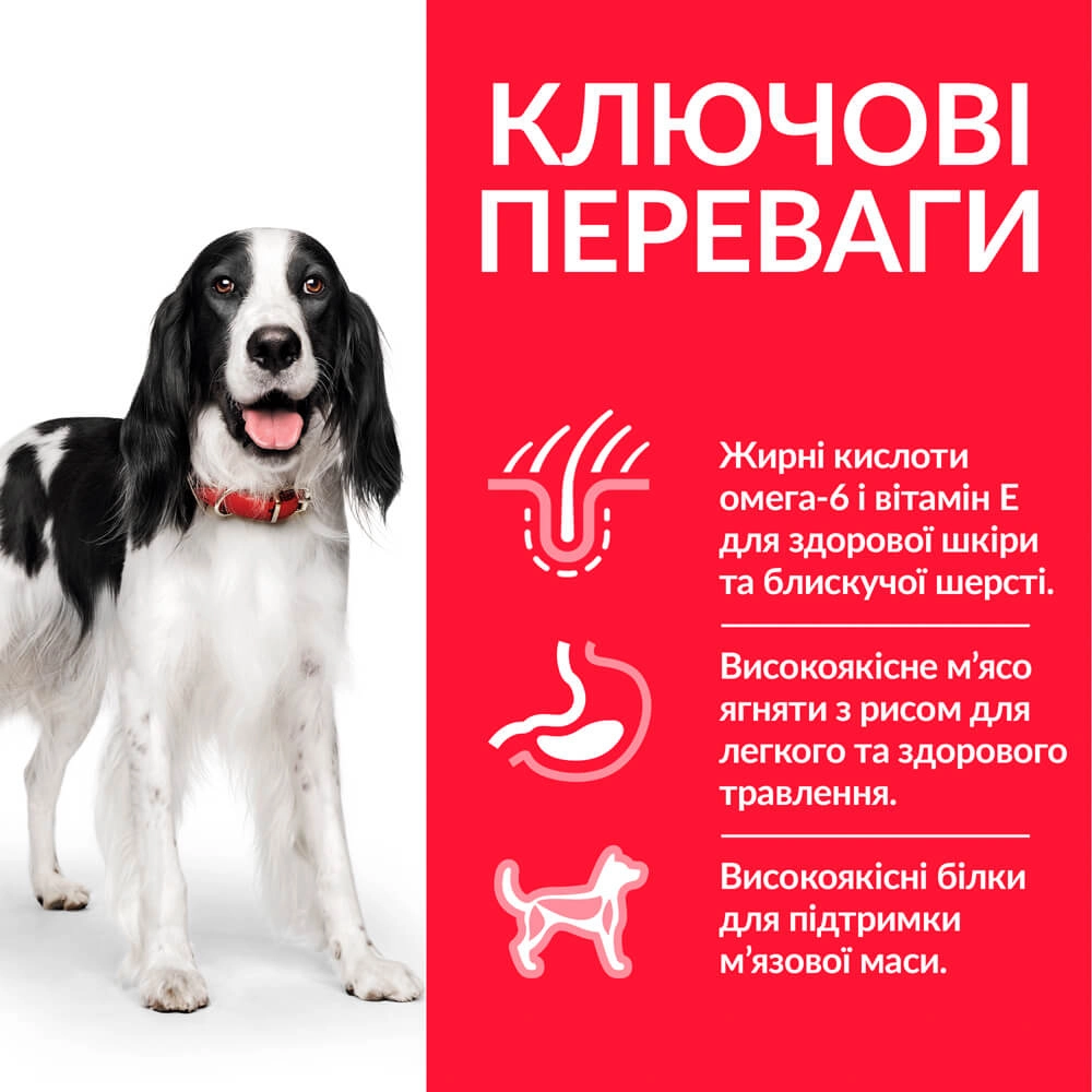 Hills Science Plan Medium Adult Dog Lamb & Rice  - фото 2