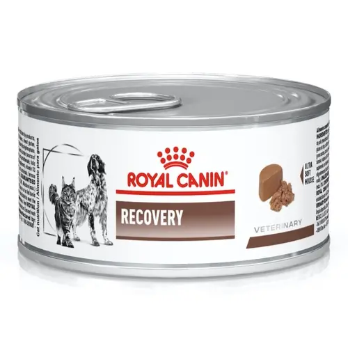 Royal Canin Recovery
