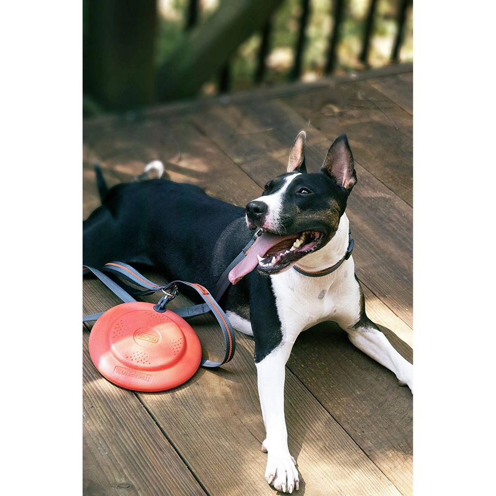 Dexas Off Leash Frisbee Flyer  - фото 4