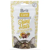 Brit Care Shiny Hair