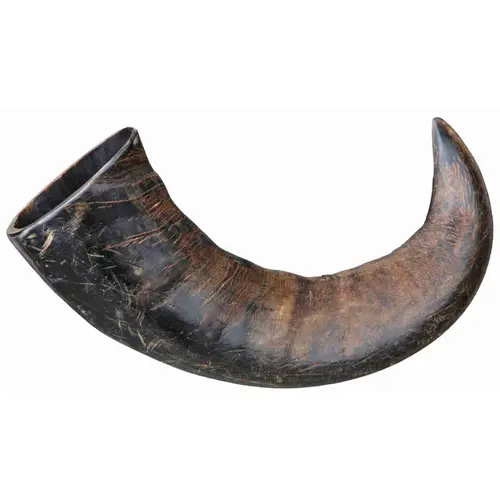 Trixie Buffalo Chewing Horn Big