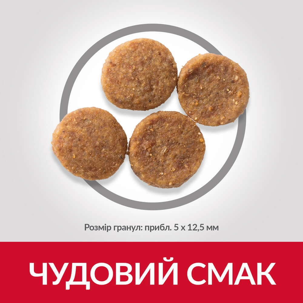 Hills Science Plan Medium Adult Dog Chicken  - фото 3