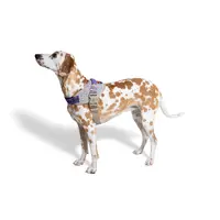 Zee.Dog ACG FlyHarness  - фото 5