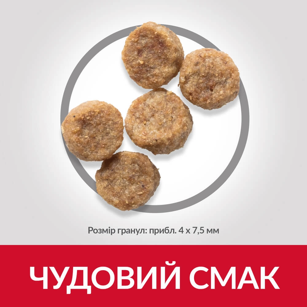 Hills Science Plan Small & Mini Mature Adult 7+ Dog Chicken  - фото 3