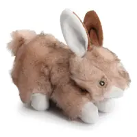 Camon Кролик з пищалкою та шарудінням