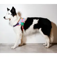 Zee.Dog Galaxy FlyHarness  - фото 6
