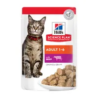 Hills Science Plan Adult Beef 