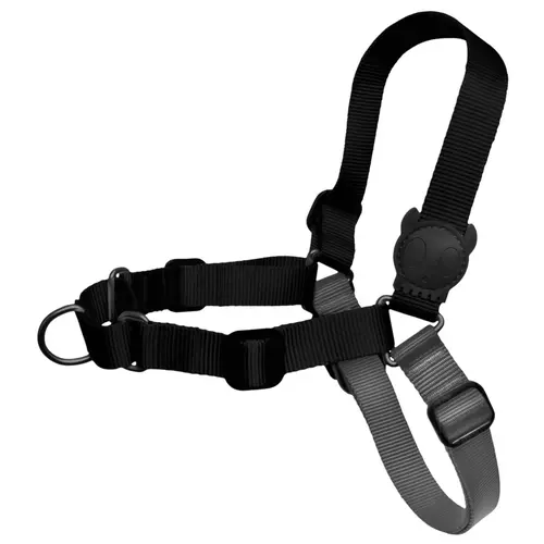 Zee.Dog Gotham Soft Walk Harness