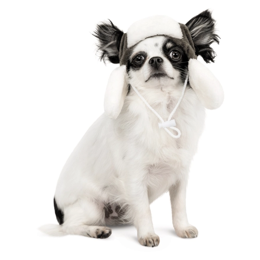Pet Fashion BUBO 