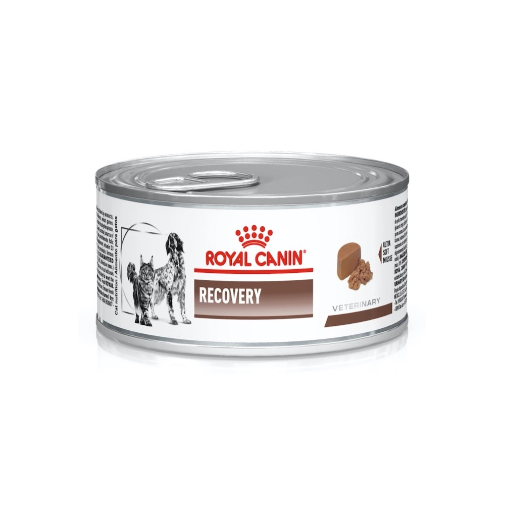 Royal Canin Recovery 
