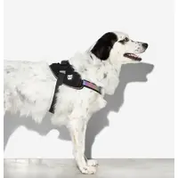 Zee.Dog Gotham FlyHarness  - фото 2